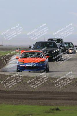 media/Jan-21-2024-VARA University (Sun) [[029a75d59f]]/Blue Group/Grapevine/